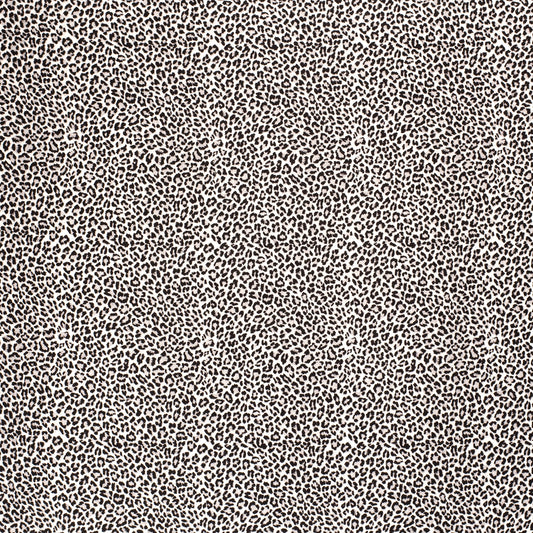 No. 6